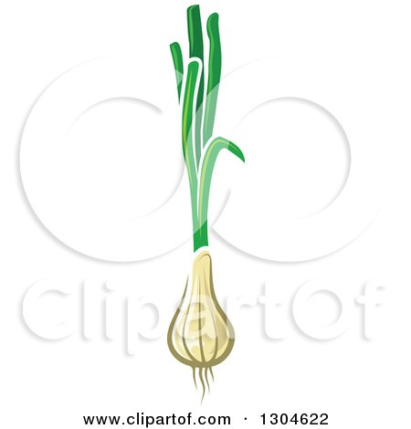 Clipart of Green Onions or Scallions - Royalty Free Vector Illustration by Vector Tradition SM