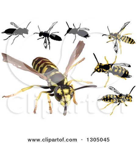 Clipart of Wasps - Royalty Free Vector Illustration by dero
