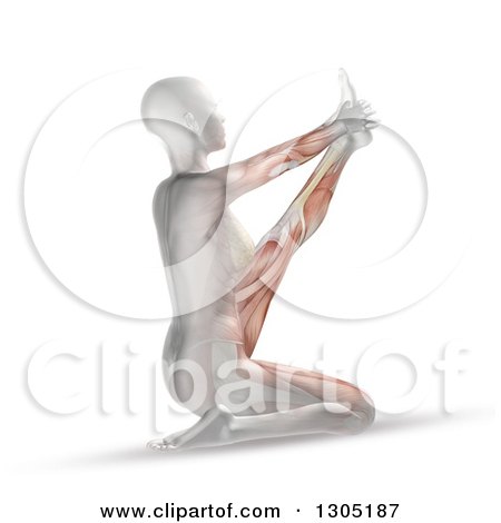 Clipart of a 3d Anatomical Woman Stretching in a Yoga Pose, with Visible Skeleton and Muscles - Royalty Free Illustration by KJ Pargeter