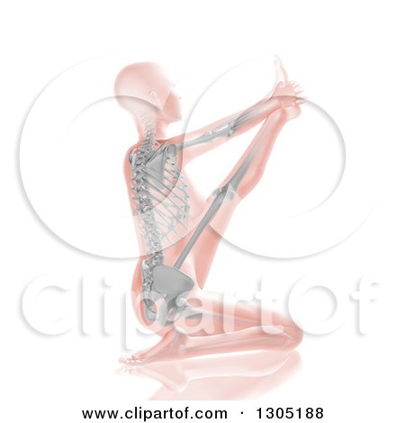 Clipart of a 3d Anatomical Woman Stretching in a Yoga Pose, with Visible Skeleton - Royalty Free Illustration by KJ Pargeter