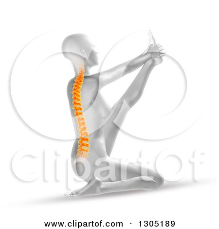 Clipart of a 3d Anatomical Woman Stretching in a Yoga Pose, with Visible Spine - Royalty Free Illustration by KJ Pargeter