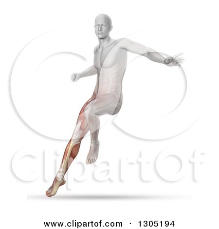 Clipart of a 3d Anatomical Man Jumping and Landing with Visible Leg Muscles and Bone - Royalty Free Illustration by KJ Pargeter