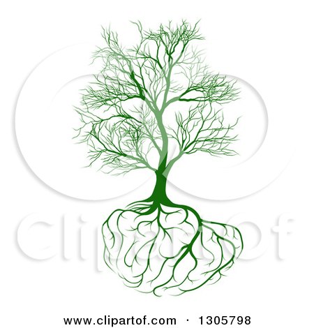 Clipart of a Bare Green Tree with Brain Roots - Royalty Free Vector Illustration by AtStockIllustration