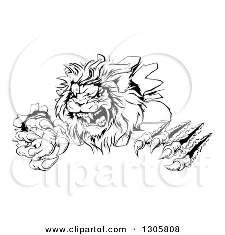 Clipart of a Black and White Roaring Lion Mascot Shredding Through a Wall - Royalty Free Vector Illustration by AtStockIllustration