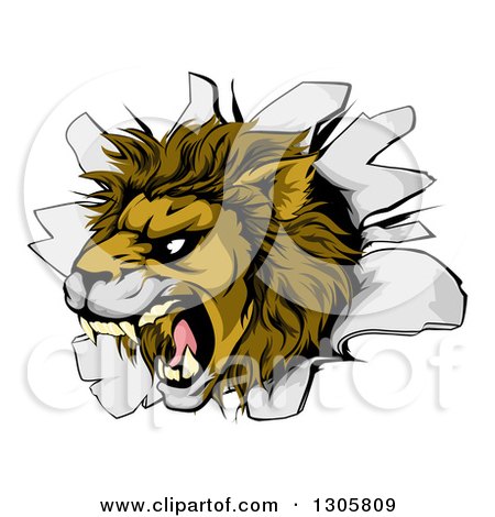 Clipart of a Fierce Roaring Lion Mascot Head Breaking Through a Wall - Royalty Free Vector Illustration by AtStockIllustration