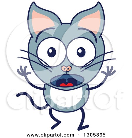 Clipart of a Cartoon Surprised Gray Cat Character - Royalty Free Vector Illustration by Zooco