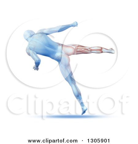 Clipart of a 3d Blue Anatomical Male Kick Boxing, Rear View, with Visible Leg Muscles, on White - Royalty Free Illustration by KJ Pargeter