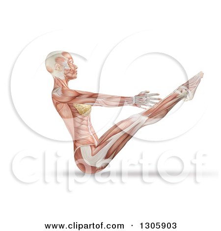 Clipart of a 3d Anatomical Woman Stretching in a Yoga Pose, with Visible Muscles and Tendons, on White - Royalty Free Illustration by KJ Pargeter
