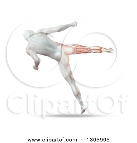 Clipart of a 3d Anatomical Male Kick Boxing, Rear View, with Visible Skeleton, on White - Royalty Free Illustration by KJ Pargeter