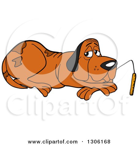 Clipart of a Cartoon Hound Dog Resting and Nibbling on a Cattail - Royalty Free Vector Illustration by LaffToon