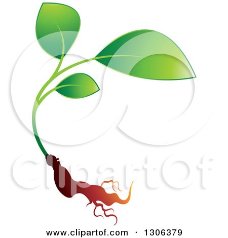 Clipart of a Young Plant and Root - Royalty Free Vector Illustration by Lal Perera