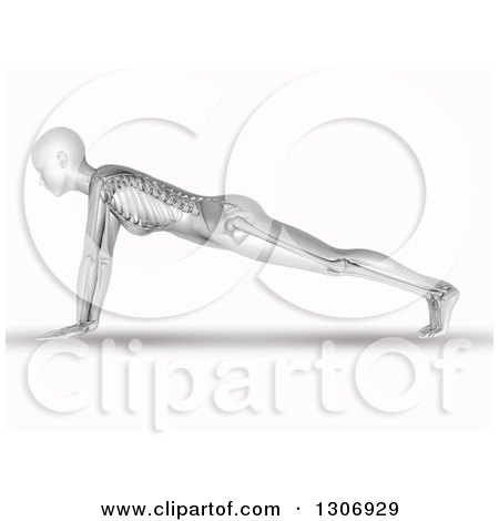 Clipart of a 3d Anatomical Woman with Visible Skeleton, Doing Push Ups or in a Yoga Pose, on White - Royalty Free Illustration by KJ Pargeter