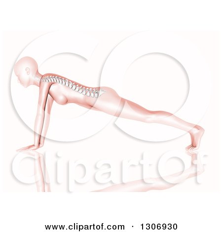Clipart of a 3d Anatomical Woman with Visible Spine, Doing Push Ups or in a Yoga Pose, on White - Royalty Free Illustration by KJ Pargeter