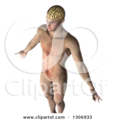 Clipart of a 3d Nude Anatomical Male with Visible Brain, on White - Royalty Free Illustration by KJ Pargeter