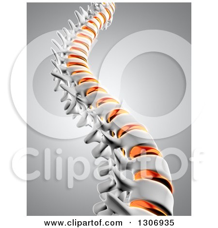 Clipart of a 3d Human Spine with Discs Highlighted over Gray - Royalty Free Illustration by KJ Pargeter