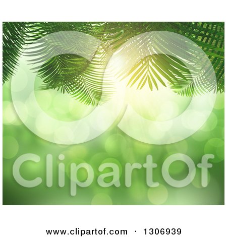 Clipart of a 3d Background of Fern Leaves over Bokeh Light Flares - Royalty Free Illustration by KJ Pargeter