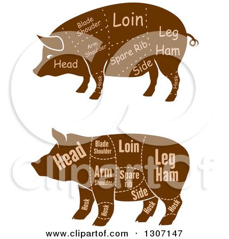 Clipart of Brown Silhouetted Pigs with Labeled Pork Cuts - Royalty Free Vector Illustration by Vector Tradition SM