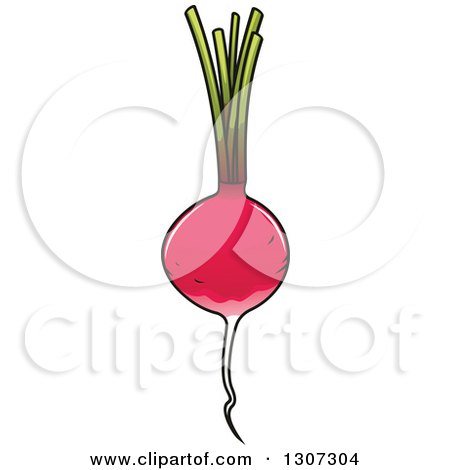 Clipart of a Cartoon Radish - Royalty Free Vector Illustration by Vector Tradition SM