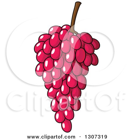 Clipart of a Cartoon Bunch of Pink or Purple Grapes - Royalty Free Vector Illustration by Vector Tradition SM