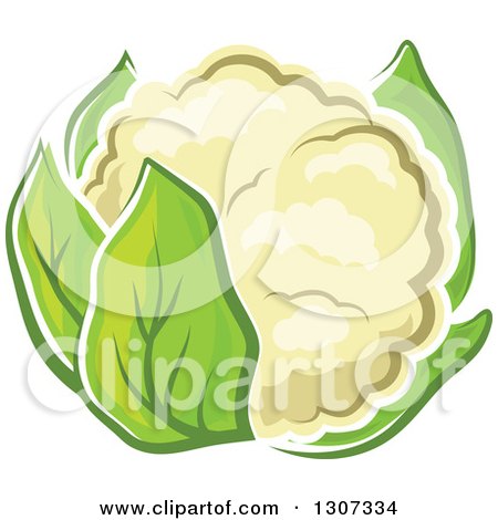 Clipart of a Cartoon White Cauliflower with Green Leaves - Royalty Free Vector Illustration by Vector Tradition SM