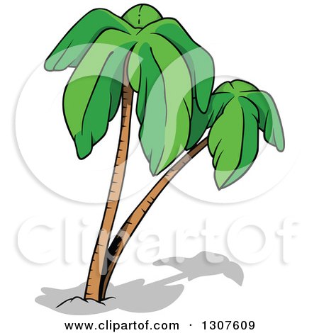 Clipart of Cartoon Palm Trees and Shadows - Royalty Free Vector Illustration by dero