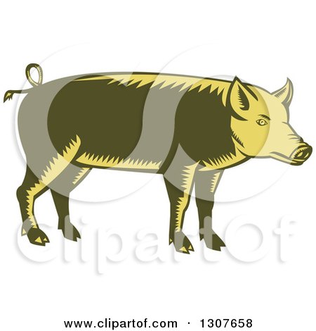 Clipart of a Retro Woodcut Green and Yellow Pig in Profile - Royalty Free Vector Illustration by patrimonio