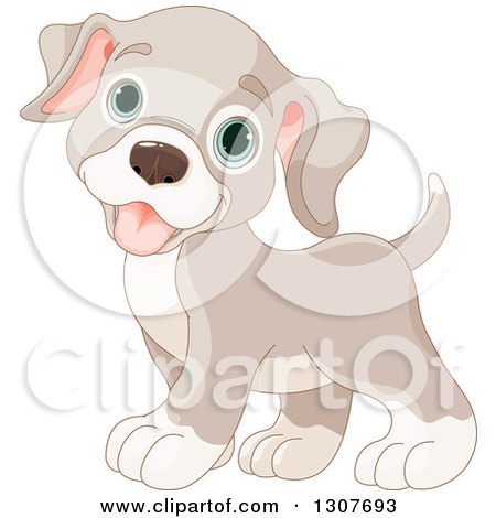 Clipart of a Cute Beige Baby Puppy Dog with Blue Eyes - Royalty Free Vector Illustration by Pushkin