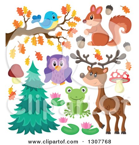 Clipart of a Cute Forest Blue Bird on an Autumn Branch, Squirrel, Deer, Owl, Frog and Plants - Royalty Free Vector Illustration by visekart