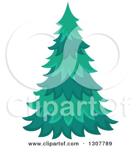 Clipart of a Lush Evergreen Tree - Royalty Free Vector Illustration by visekart