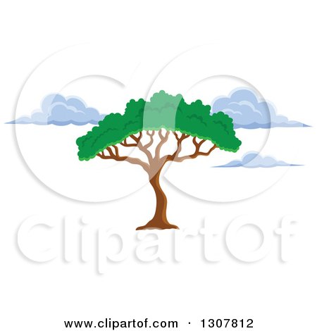 Clipart of an African Acacia or Umbrella Tree and Clouds - Royalty Free Vector Illustration by visekart