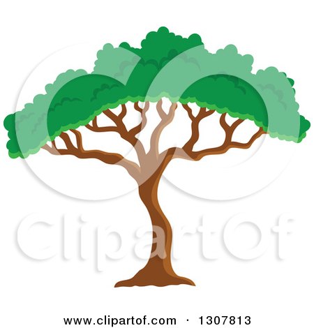 Clipart of an African Acacia or Umbrella Tree - Royalty Free Vector Illustration by visekart