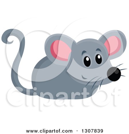 Clipart of a Cute Gray Mouse - Royalty Free Vector Illustration by visekart
