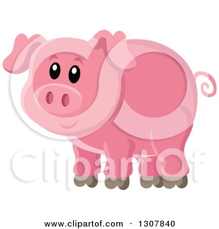 Clipart of a Cute Pink Piggy - Royalty Free Vector Illustration by visekart