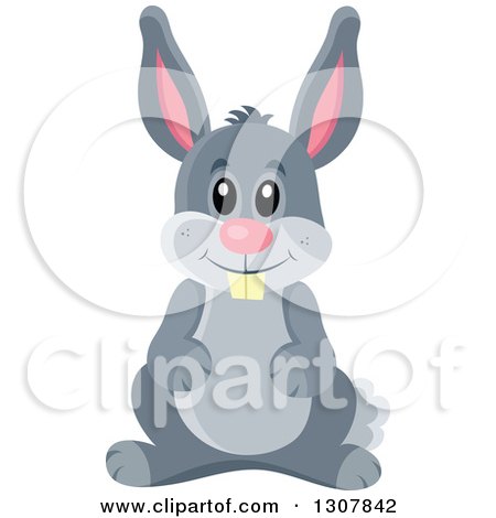 Clipart of a Cute Gray Bunny Rabbit - Royalty Free Vector Illustration by visekart