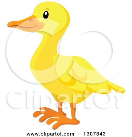 Clipart of a Cute Yellow Duck Facing Left - Royalty Free Vector Illustration by visekart