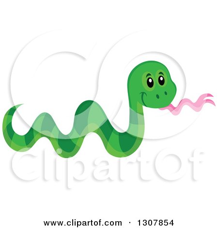 Clipart of a Cute Wild African Green Snake - Royalty Free Vector Illustration by visekart