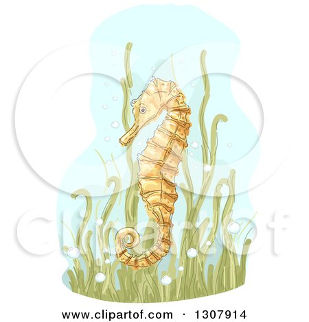 Clipart of a Sketched Yellow Seahorse in Seaweed - Royalty Free Vector Illustration by BNP Design Studio