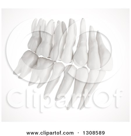 Clipart of 3d Human Teeth from the Side on White - Royalty Free Illustration by Mopic