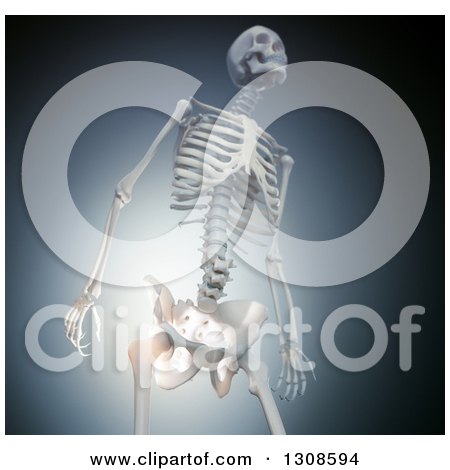 Clipart of a 3d Human Skeleton with Glowing Joint Pain in the Hip, over Blue and Black - Royalty Free Illustration by Mopic