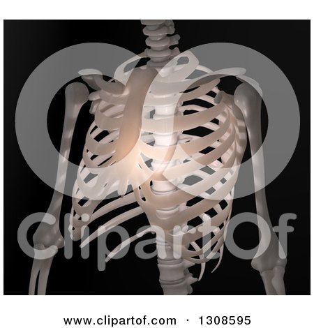Clipart of a 3d Chest View of a Human Skeleton with Light, on Black - Royalty Free Illustration by Mopic