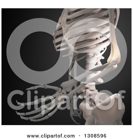 Clipart of a 3d Human Skeleton with Glowing Pain in the Elbow Joint, on Black - Royalty Free Illustration by Mopic
