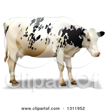 Clipart of a 3d Dairy Cow - Royalty Free Vector Illustration by dero