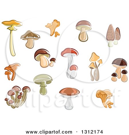 Clipart of Cartoon Mushrooms - Royalty Free Vector Illustration by Vector Tradition SM