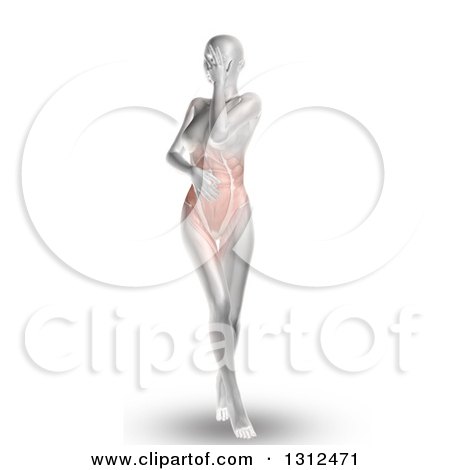 Clipart of a 3d Medical Anatomical Female with Visible Stomach Pain and Muscles, on White - Royalty Free Illustration by KJ Pargeter