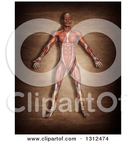 Clipart of a 3d Medical Anatomical Male with Visible Muscle Map on Grunge - Royalty Free Illustration by KJ Pargeter