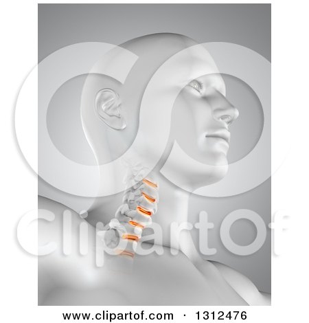 Clipart of a 3d Medical Anatomical Male with Visible Neck Vertibrae, on Gray - Royalty Free Illustration by KJ Pargeter