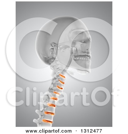 Clipart of a 3d Medical Anatomical Skull with Highlighted Neck Vertibrae, on Gray - Royalty Free Illustration by KJ Pargeter
