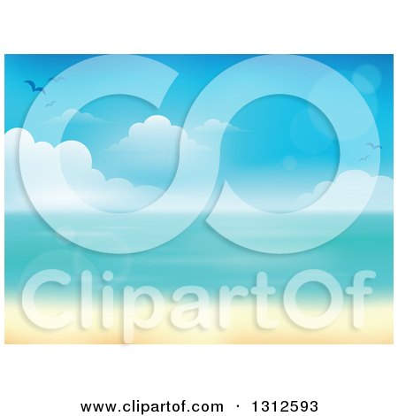 Clipart of a Tropical Beach with White Sands and the Horizon over the Ocean, with Seagulls, Clouds, Blur and Flares - Royalty Free Vector Illustration by visekart