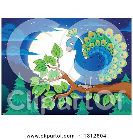 Clipart of a Cartoon Peacock on a Branch over an Evergreen Forest, with a Full Moon at Night - Royalty Free Vector Illustration by visekart