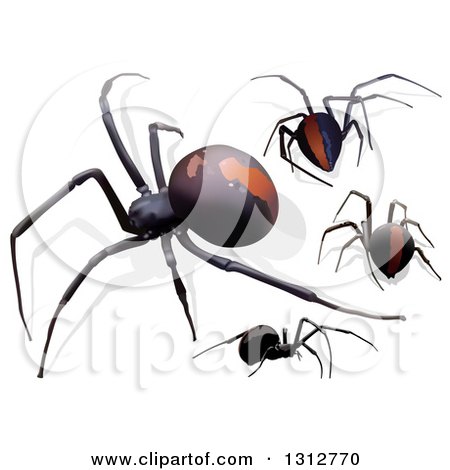 Clipart of 3d Redback Spiders - Royalty Free Vector Illustration by dero